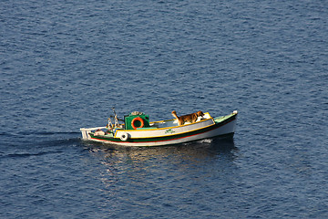 Image showing Dog on the boat