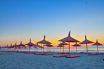 Image showing Sunrise under parasol on the beach
