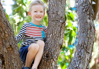 Image showing boy climbing the tree
