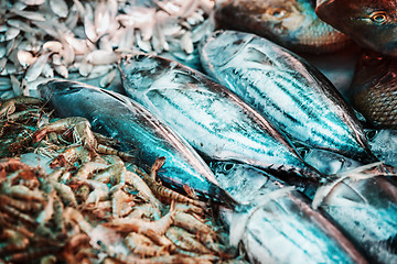 Image showing Fish, shrimp and other seafood on the market