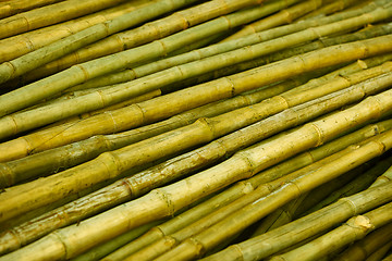 Image showing Bamboo trunks prepared for building