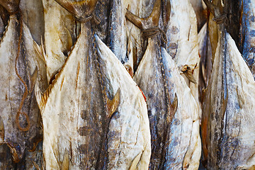 Image showing Dried tuna on the market in Sri Lanka