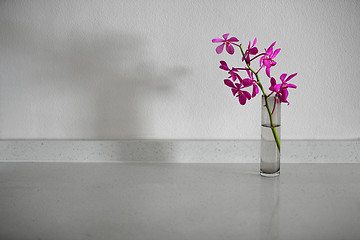 Image showing Orchid flowers in a simple vase on white table