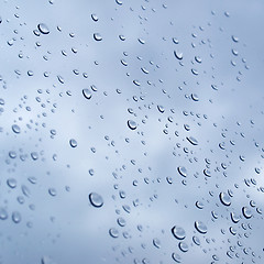 Image showing Rain droplets