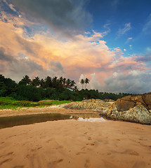 Image showing Beautiful evening sky over a tropical beach. Sri Lanka