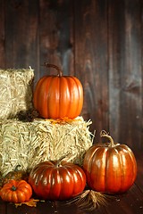 Image showing Fall Themed Scene With Pumpkins on Wood 