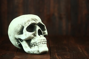 Image showing Skull on Wood Grunge Rustick Background
