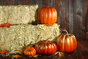 Image showing Fall Themed Scene With Pumpkins on Wood 