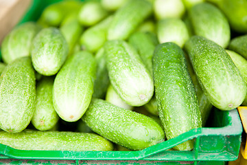 Image showing Fresh cucumbers