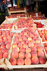 Image showing Fresh peaches