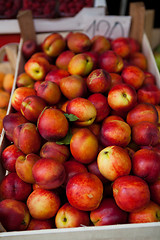 Image showing Fresh apples