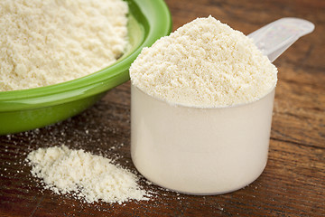 Image showing whey protein powder