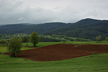 Image showing Arable Land