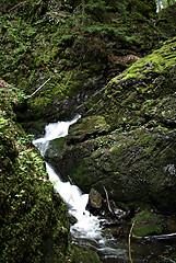 Image showing Mountain Creek