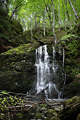 Image showing Mountain Creek