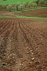 Image showing Arable Land