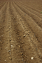 Image showing Arable Land