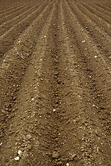 Image showing Arable Land