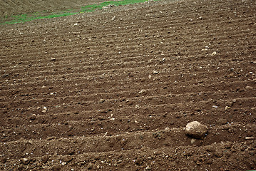 Image showing Arable Land