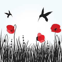 Image showing Spring card with beauty poppies.