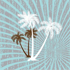 Image showing Summer background with grunge beach palms