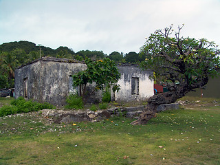 Image showing Old Rundown House