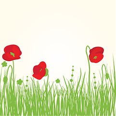 Image showing Spring card with beauty poppies.