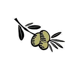 Image showing Hand drawn olive illustration