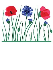 Image showing Spring card with beauty poppies.