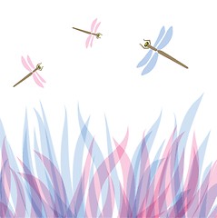 Image showing dragonfly