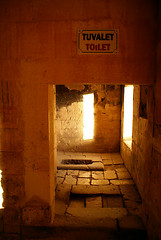 Image showing Toilet in palace