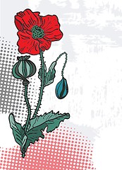 Image showing Spring card with beauty poppies.