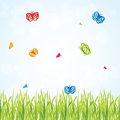 Image showing Various vector butterflies on  background