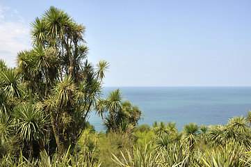 Image showing Sea views