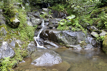 Image showing mountain river