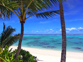 Image showing Rarotonga Lagoon