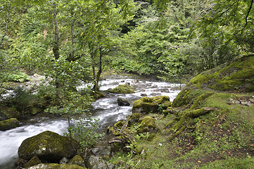 Image showing mountain river, landscapes