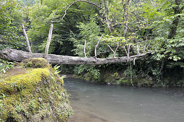 Image showing rope bridge over the river