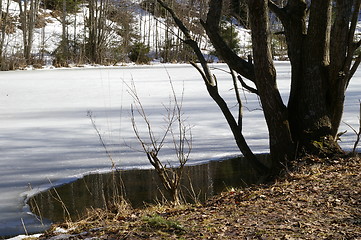 Image showing Spring