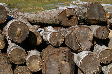 Image showing Lumber