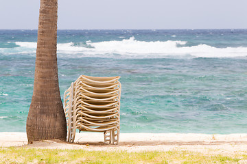 Image showing Stack of beach chairs under palm tree