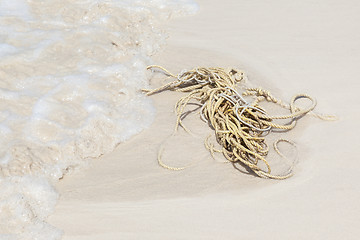 Image showing Long rope on the beach