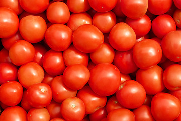 Image showing Many ripe red tomatoes