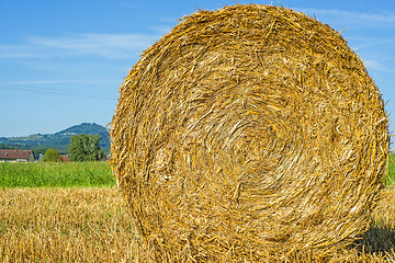 Image showing straw bale