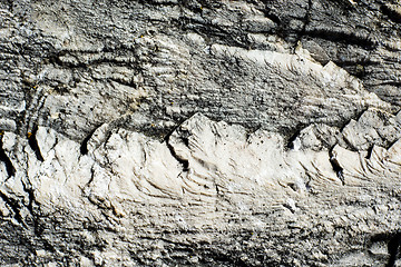 Image showing rock surface