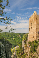 Image showing Castle of Lichtenstein