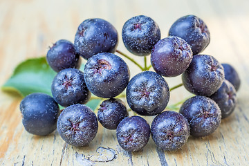 Image showing Black choke berry