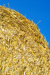 Image showing straw bale