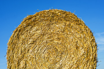 Image showing straw bale