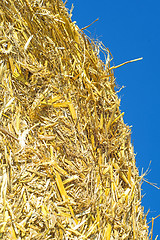 Image showing straw bale